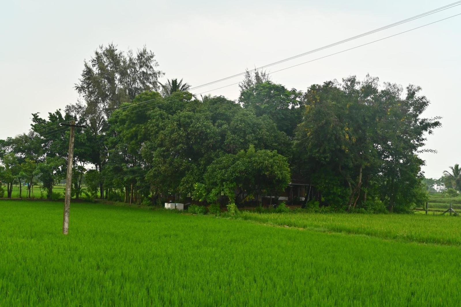 Pathayam Inn Tiruvannāmalai Zewnętrze zdjęcie